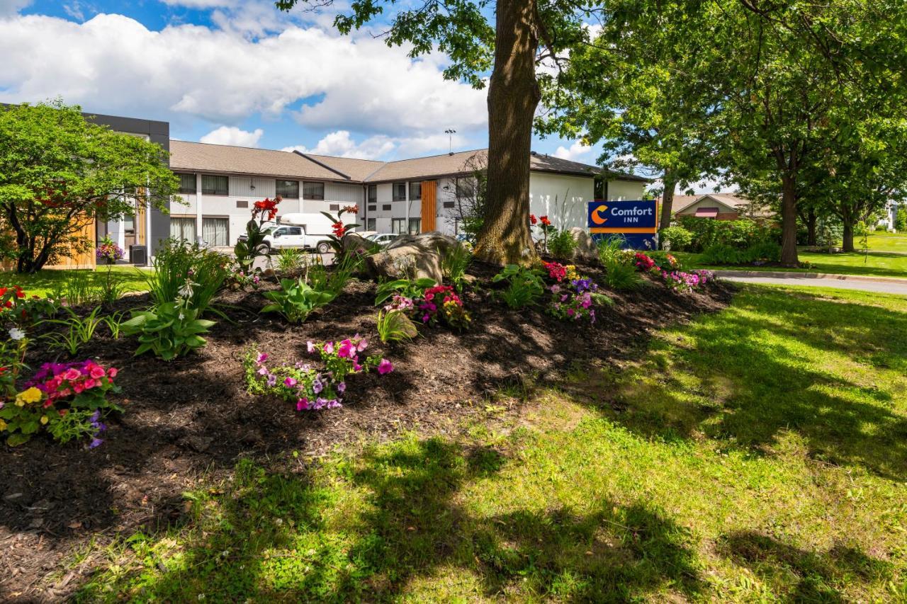 Comfort Inn West Оттава Екстер'єр фото